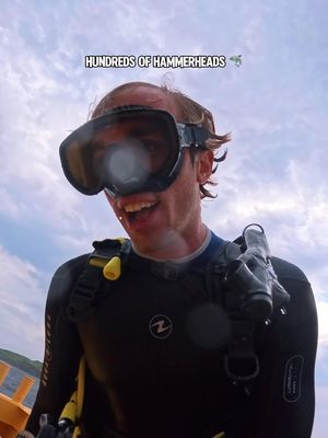 we got hammered in Japan! 🦈🇯🇵 Such a wild and unique experience that can only be experienced a few places in the world! 🤯🌎 Grateful to tick it off this experience here in Yonaguni Island Japan. Japans western most point! 📍🇯🇵 Diving with the team at @souwes_yonaguni 🦈 . #hammerhead #hammerheadshark #sharks #shark #sharkdiving   