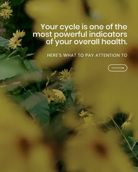 Your cycle can tell you a lot about your hormone health. Mood swings, cravings, irregular periods, energy dips, it’s all connected. Support your cycle with targeted hormonal support