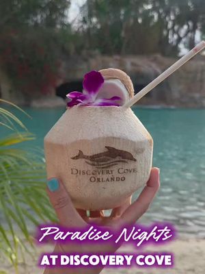 Paradise Nights now at Discovery Cove until August 8th
