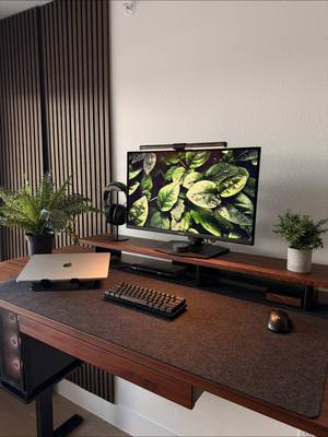 Setting up my dream home office. Still needs alot of work but this is just the beginning. 🖥️ #desksetup #homedecor #apartmenttherapy #deskdecor #interiordesign 