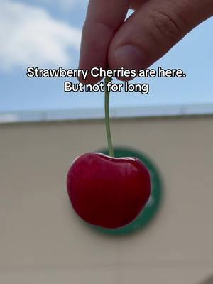 PSA: Grab these before they’re gone 🍓🍒 #wholefoodsmarket #cherry #strawberry 