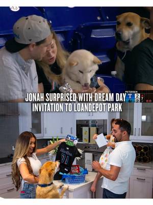 The moment you’ve all been waiting for….  marlins.com/jonah to be front row for Jonah’s dream day 🐾🎟️ #MLB #marlins #dog #jonahsdreamday 