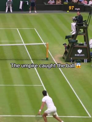 One-handed catch. Zero doubt. 👏 #Wimbledon 