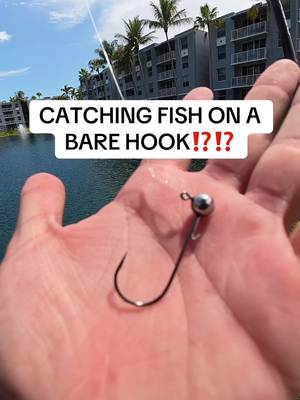 CATCHING FISH ON A BARE HOOK⁉️⁉️ @Fishbrain  • • #fishing #fyp #florida #viral #trending 