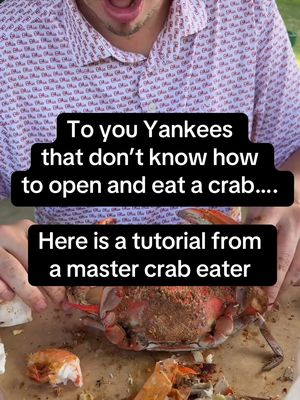 How to eat a crab from a professional crab eater #crab #food #maryland #eating 