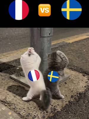 Allez Les Bleus! 🇫🇷🔥 #FIFAWorldCup #France #EquipeDeFrance #Ligue1 #SportsTikTok Original video  @meowtakeover 