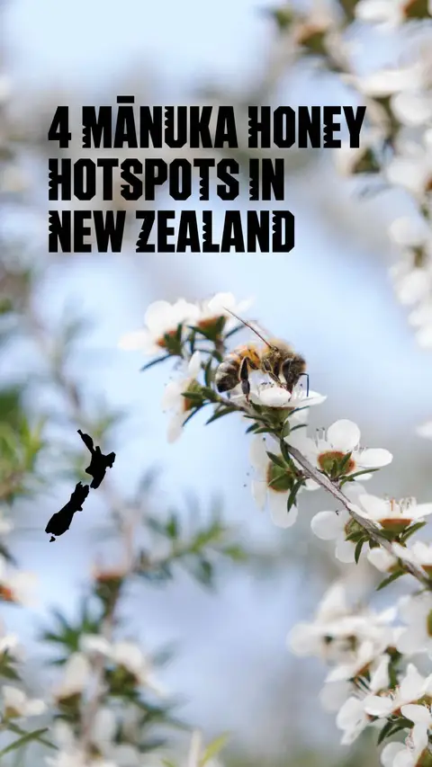 Harvested from native mānuka, this honey is one of those distinctly Aotearoa New Zealand flavours worth slowing down for. Rich, golden and a little bit special. 💛   Walk gently. These bees and their honey are part of the land’s story, and it is ours to care for.   📍Huka Honey Hive, Taupō 📍Comvita Wellness Lab, Auckland 📍Greytown Honey, Wairarapa 📍Arataki Honey Visitor Centre, Hawke’s Bay   #NZMustDo #NZBucketList #FEEL100inNZ #TiakiPromise 
