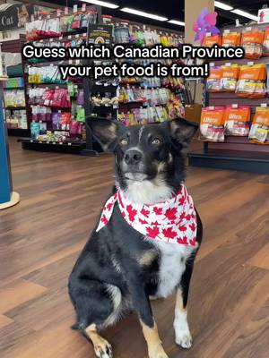 Happy Canada Day! 🍁 Guess which Canadian province your pet food is from! Find over 1000 proudly made in Canada products at your local Pet Valu family of stores. https://www.petvalu.ca/collection/canada
