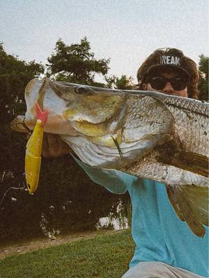 ITS A GIANT GIANT… @throwbackbaits @Uncle Larry Outdoors  • • #fishing #fyp #snook #swimbait #glidebait 