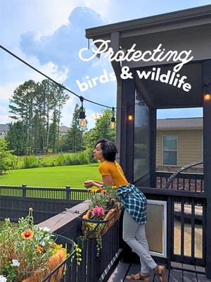 I love looking at fireworks, but I love animals more. We know what’s happening, but they don’t 🐦‍⬛ So if you find an animal in distress after the 4th (or anytime really), contact your local wildlife rehabber or use the @AnimalHelpNow website, a resource I find helpful.