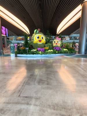 #creatorsearchinsights  #traveltiktok #taiwan #taipei 