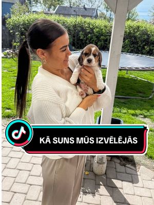 Par sunīti jau zinājām ļoti sen, nebija tikai skaidrs īstais laiks. Bet tāds nekad nepienāks!  Februārī sazvanījāmies ar Diānu no audzētavas un stāstīja, ka mamma Vinnija ar tēti Maro veiksmīgi izdarīja savas lietas un atlika tikai gaidīt. Es skaitīju dienas, goda vārds. Pirmā tikšanās reizē, kad mazie kucēni uzēda gardo mammas pieniņu, saimniece teica: “Sēdiet uz grīdas un gaidiet.” Un notika tas, ko video redzat.🫠❤️ Manu burtiski izvēlējās mūs par saviem saimniekiem. Es sirdī ticēju, ka tieši viņš ir īstais un vienīgais.🐶💫🙌🏼 Manu noteikti sajuta manu enerģiju un vēlmi pēc viņa!🫶🏼  #story #latviešutiktok 