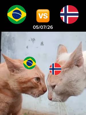 We are ready! 💪🇧🇷 #FIFAWorldCup #Brasil #Norway #SportsTikTok 