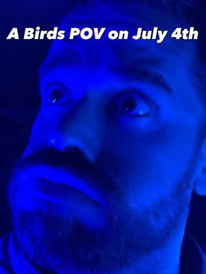 What’s birds see on July 4th… #birdsoftiktok #flashwarning #july4th 