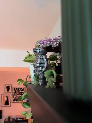 Home🙂‍↕️ #cozyhome #homeinspo #homedecor #houseplants #interiordesign 