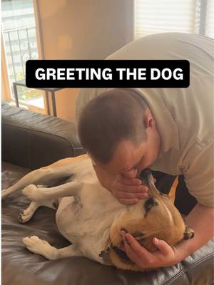 He didn’t even shake his hand @James.adinolfi #unhirables #dog #pet #comedy #skit