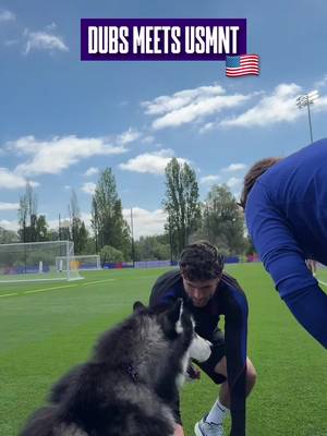 America’s team, America’s Dawg.