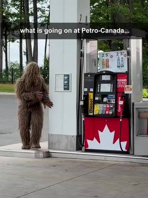 Okay... who’s stopping at Petro-Canada on their way through the woods?👀 📍 Spotted: one very large, very hairy visitor   Win a wild outdoor adventure at the @Jack Link’s Canada Wilderness Camp! There will be one exclusive Petro-Canada winner  - check out the link in our bio to learn more.   Terms and conditions apply. No purchase necessary.   //   Bon... qui s’arrête chez Petro-Canada en traversant les bois? 👀 📍 Spotted : un visiteur très grand… et très poilu.   Courez la chance de gagner une aventure en pleine nature au Camp Sauvage de @jacklinkscan ! Une personne gagnante exclusive Petro-Canada sera choisie. Consultez le lien dans notre bio pour en savoir plus.   Certaines conditions s’appliquent. Aucun achat requis.