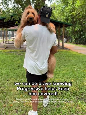 Where my gentle giants at? @Brodie The Goldendoodle 