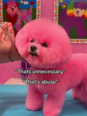 Turning this princess PINK . #dogs #doggrooming  