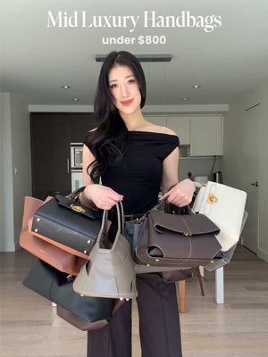 Mid luxury bags I think are worth the price #midluxurybags #handbagcollection #bagrecommendation #everydaybag @polene_paris @DeMellier @VERAFIED NEW YORK @Parisa Wang New York 