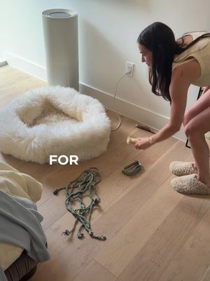 #ad For the first time in 6 years I have an empty house. No dogs, no chaos, just me finally doing everything I've been putting off. Painting walls. Running Errands. Deep cleaning in a way I genuinely never get to. The O-Cedar H2prO flat mop lives upstairs permanently. This is my lighter everyday clean, bedrooms, bathrooms, and honestly it works insanely well on windows too. Same principle as my downstairs mop though, clean water and dirty water never mix. It actually sprays clean water every single time you insert the mop. The engineering behind it is kind of wild. Will the walls be painted before they get back? Unclear. But the floors are going to be immaculate. @O-Cedar #OCedarPartner