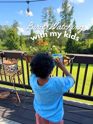 Gotta start him early so he’s not 40 by the time he notices how fascinating birds are.  🐦🐦 #birding #birdwatching #screenfreeplay 