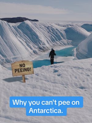 In Antarctica, you’re not allowed to pee on the ice. Not even when you’re hiking for hours! It’s so cold and dry that when it snows, it basically never melts, so it stacks up into layers of ice trapping air inside…and scientists drill ice cores to study that air and learn what the environment was like thousands of years ago So if you pee…it will get trapped in the ice too. To see what’s under the ice, follow along! #antarctica #ice #Science #geology