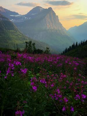 Sunset over Glacier National Park 🏔️