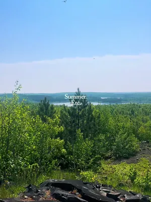 LU summer in progress 🌊🏕️☀️ L’été UL bat son plein 🌊🏕️☀️