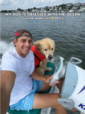 #ad I've accepted that if there's water nearby, Drake's going in it. 💦😂 Good thing @Petco makes it easy to be ready for every adventure. #Petco 