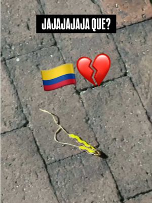 La selección Colombia 
