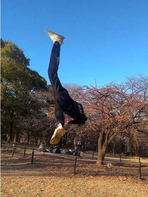 Tricks in the park 🍂 #tricking #sports #fyp #foryoupage #flipping 