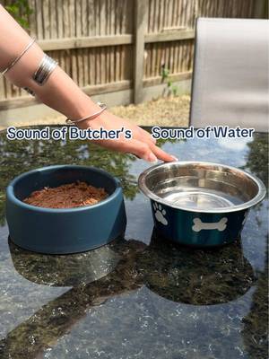 Nothing compares to Butcher’s 💙 #butchersdogfood #dogfood #dogsoftiktok #dogtok 