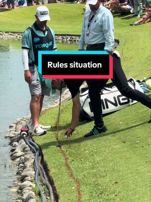 What’s the rule here? 🤔 #golftok #fyp #golfer 