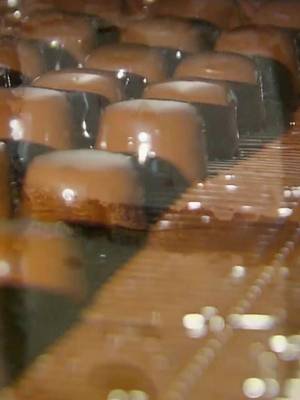 Making the most DELICIOUS luxury chocolates 🍫 #howitsmade #luxurychocolates #chocolatemaking