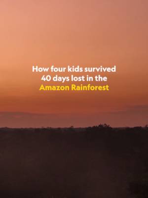 The true story of four children who survived 40 days and 40 nights stranded in the Colombian rainforest. For the first time, the siblings recount what happened in #LostInTheJungle, now streaming on @disneyplus and @hulu.