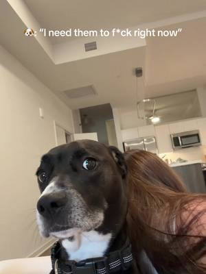 Lyla is saying what we’re all thinking 🐶 #loveislandusa #LoveIsland #carlandaniya 