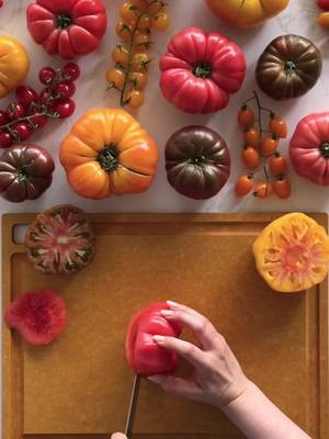 TOMATO CARPACCIO. Tomato girls, rejoice! Tomatoes are finally in season,  and our favorite way to enjoy them is fresh and simply prepared. These ultra-thin tomato slices make for a summer salad that’s elevated, refreshing and light. Here’s how to make it: 1. Slice ripe, farmers market tomatoes as thinly as you can. (We like a sharp chef’s knife.) Layer on a plate. 2. Add sliced shallots, minced chives, capers and shaved parmesan. 3. Drizzle extra-virgin olive oil on top, and add a sprinkle of sea salt and lemon zest. 