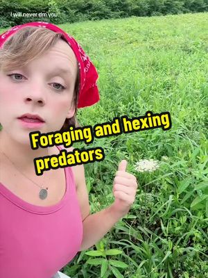 Here’s to banishing predators and their enablers. May all of your favorite mushroom spots be found out and your garden beds overrun with poison ivy. #foraging #appalachia #greenwitch #hexing #csasurvivor 