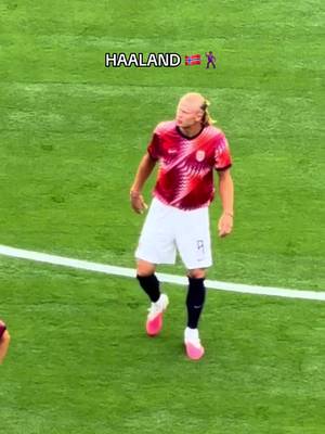 BRO IS A CHARACTER😂🇳🇴  . #Soccer #football #fifaworldcup2026 #haaland #fifaworldcup