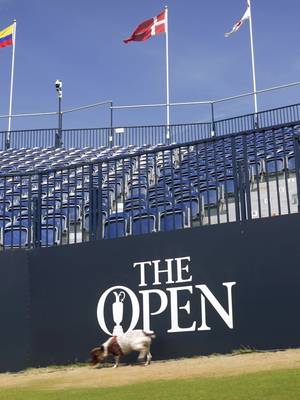 Every fairway deserves the sniff of approval. Royal Birkdale is ready to welcome the galleries. #TheOpen