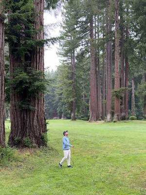 How is this place real… #golf #fyp
