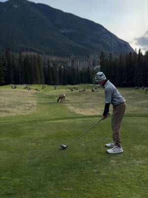 Banff Springs #golf #golfer #golfcourse