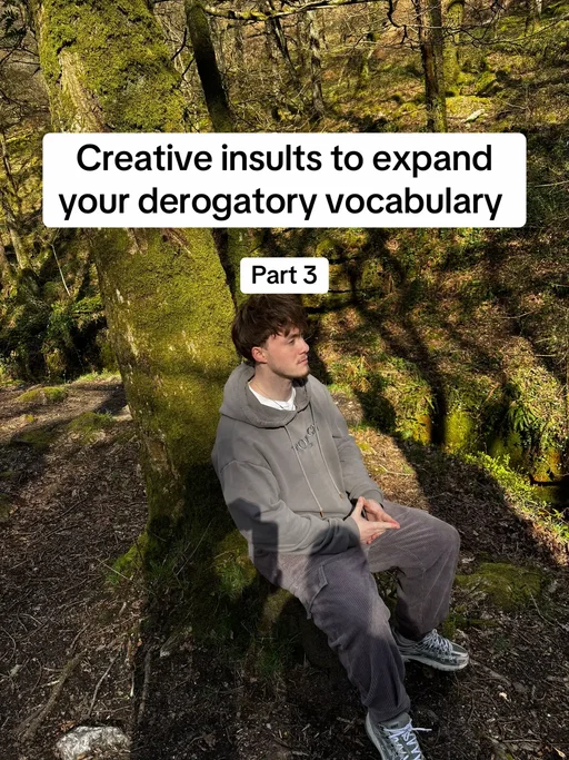 Accepting applications for more creative insults  #ragebait #oneliners #meme 