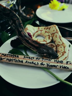 “Snakes For Dinner” and more TONIGHT. Tune back in at 9pm PT / 12am ET