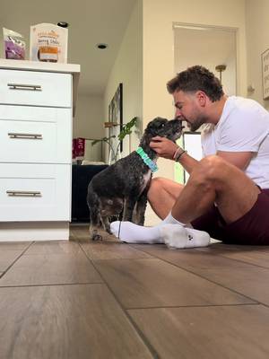 a day with dad, calls for a lot of treats 🫶🏼 #clyde #dogtok 