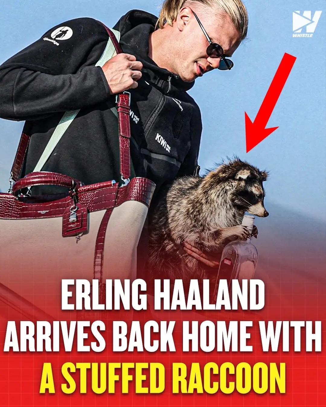 Erling Haaland may have left but he took a piece of America with him 😂🦝 #erlinghaaland #worldcup #fifaworldcup #america #Soccer 