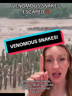 900 venomous snakes, including cobras escaped a breeding farm in China during flood #scaryvideos #snakesoftiktok #scarystories #scaryfacts #creepyvideos 