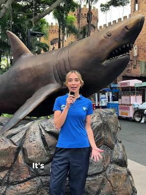 Happy Shark Awareness Day! 🦈 Tell us your favourite shark species in the comments 👇 #sharkawarenessday